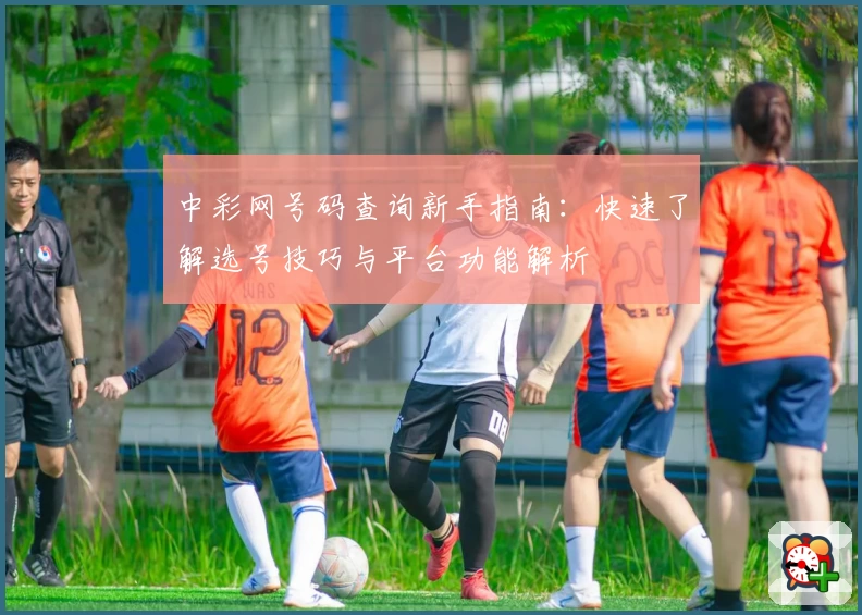中彩网号码查询新手指南：快速了解选号技巧与平台功能解析