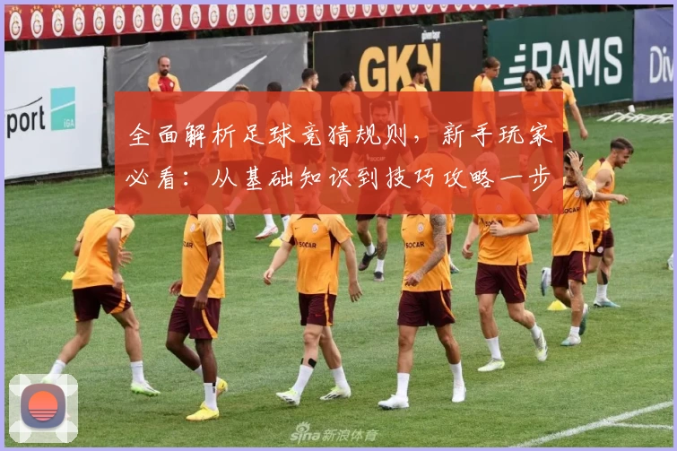 全面解析足球竞猜规则，新手玩家必看：从基础知识到技巧攻略一步到位