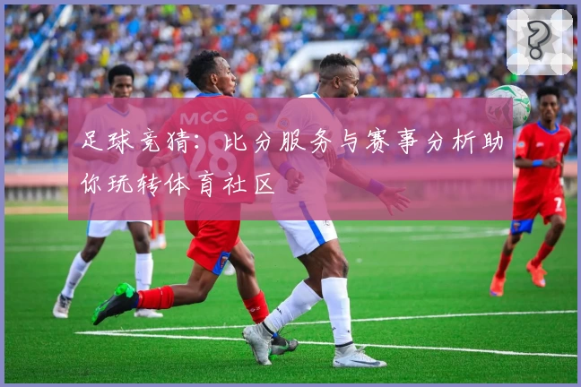 足球竞猜：比分服务与赛事分析助你玩转体育社区