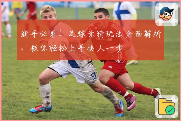 新手必看！足球竞猜玩法全面解析，教你轻松上手快人一步