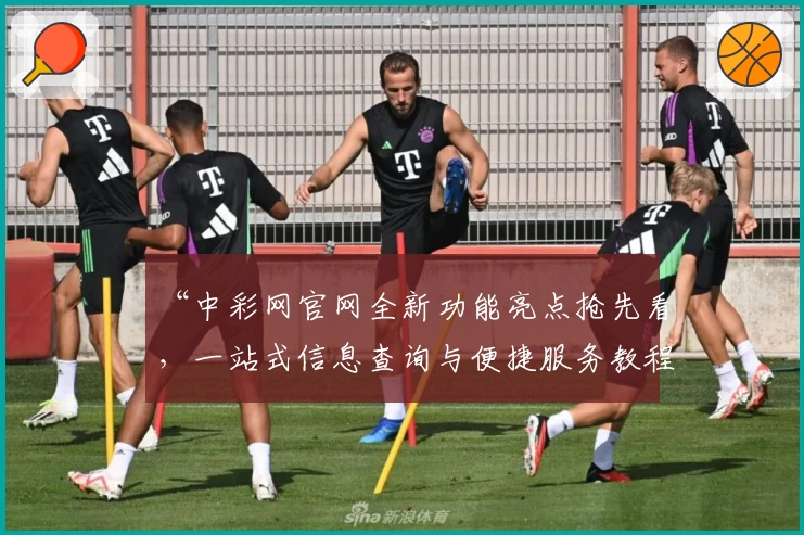 “中彩网官网全新功能亮点抢先看，一站式信息查询与便捷服务教程”