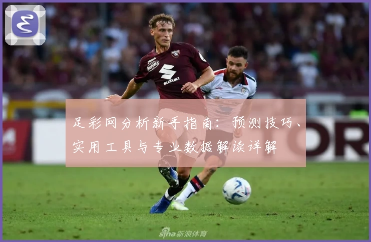 足彩网分析新手指南：预测技巧、实用工具与专业数据解读详解