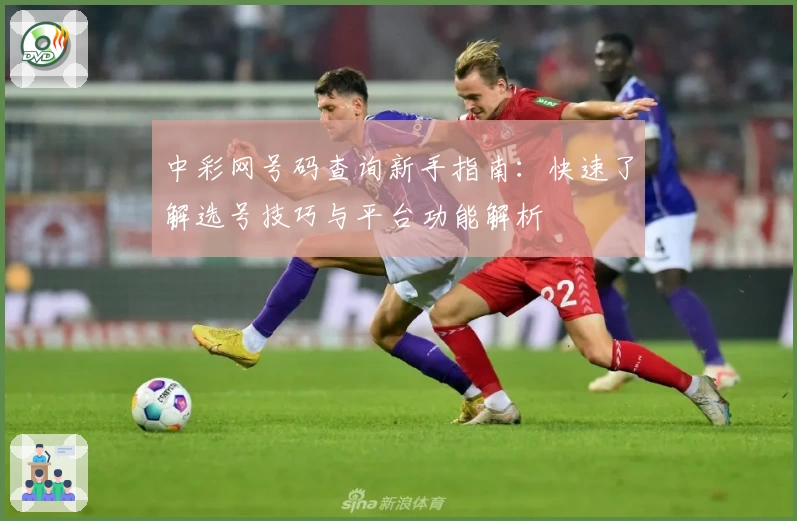 中彩网号码查询新手指南：快速了解选号技巧与平台功能解析